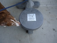  Meet & Greet 2017-06-24 Sat 